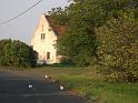 Böhmen (120)